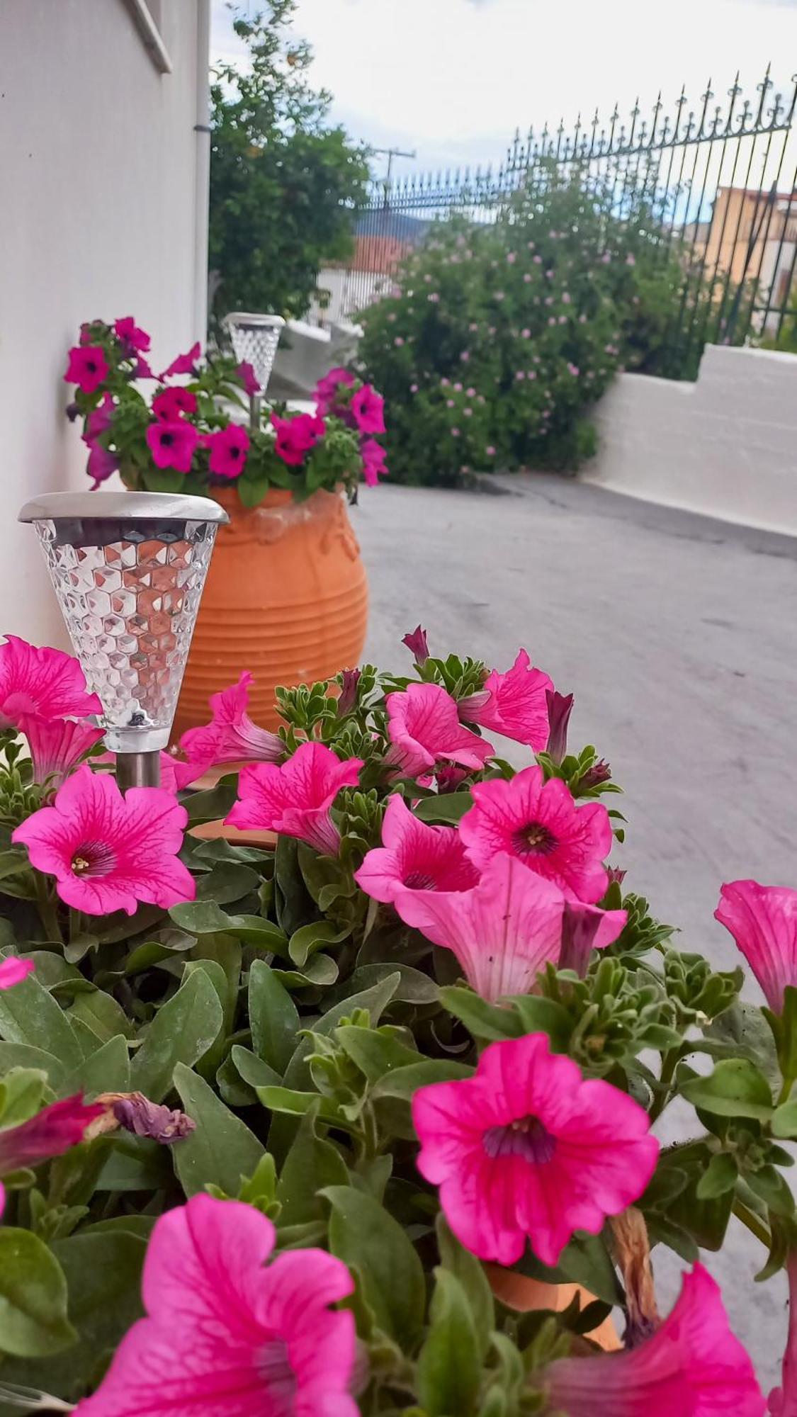 Triζin Apartment Galatás Luaran gambar